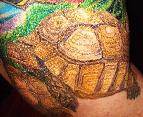 Bobby Stanley's Tortoise Tattoo - all art was applied by Bill Liberty of 