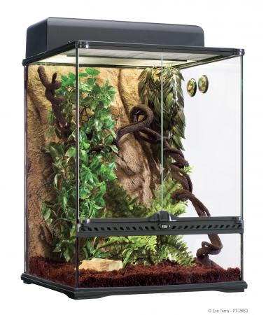 Features a 12 x 12 x 18" Full Glass Terrarium, with dual front doors for an 