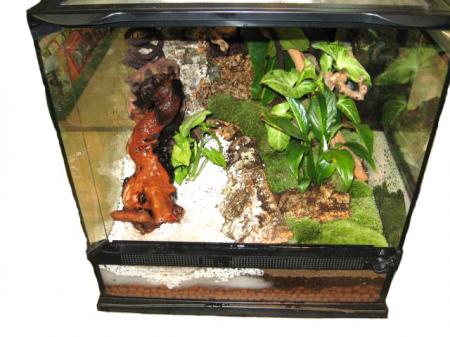 exo terra vivarium impression