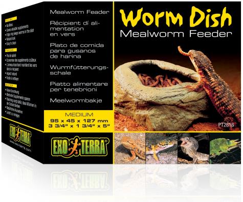 automatic mealworm feeder
