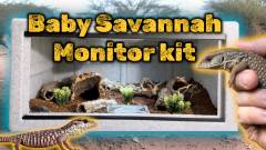 Ultimate Monitor Lizard Vision Complete Starter Setup