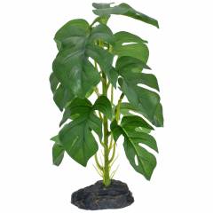 Komodo Standing Monstera Plant Small