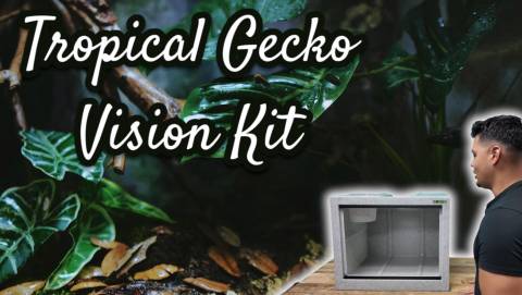 Tropical Gecko Vision Complete Kit