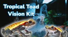 Complete Vision Tropical Terrestrial Toad / Frog Kit