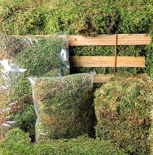 Purchase Wholesale sphagnum moss bulk. Free Returns & Net 60 Terms on